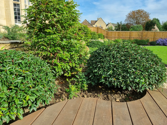 large contemporary garden in south cotswolds curved decking2