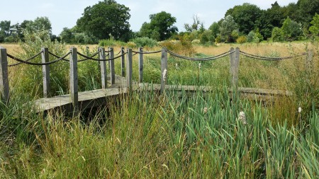 09. Broughton Grange Water Meadow